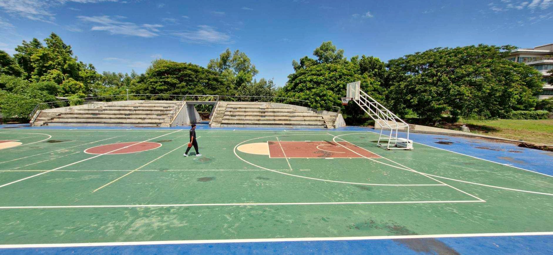 Pickleball 3