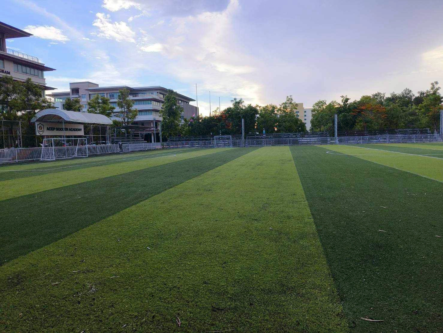 Turf 3